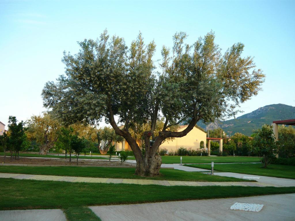 Cosmos Resort Kalamos  Exterior photo